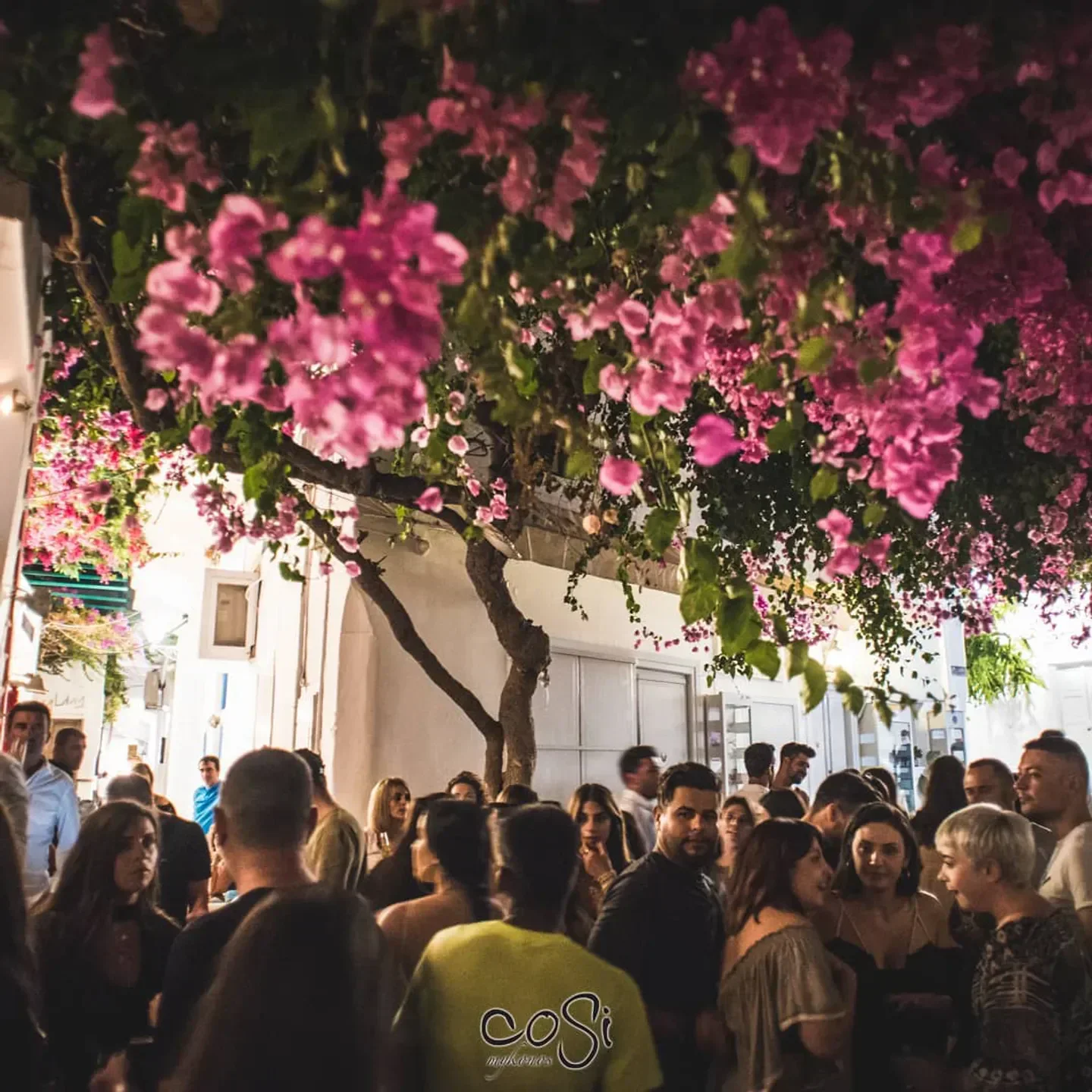 Crowd at Cosi nightclub in Mykonos, under vibrant pink flowers and tree cover.