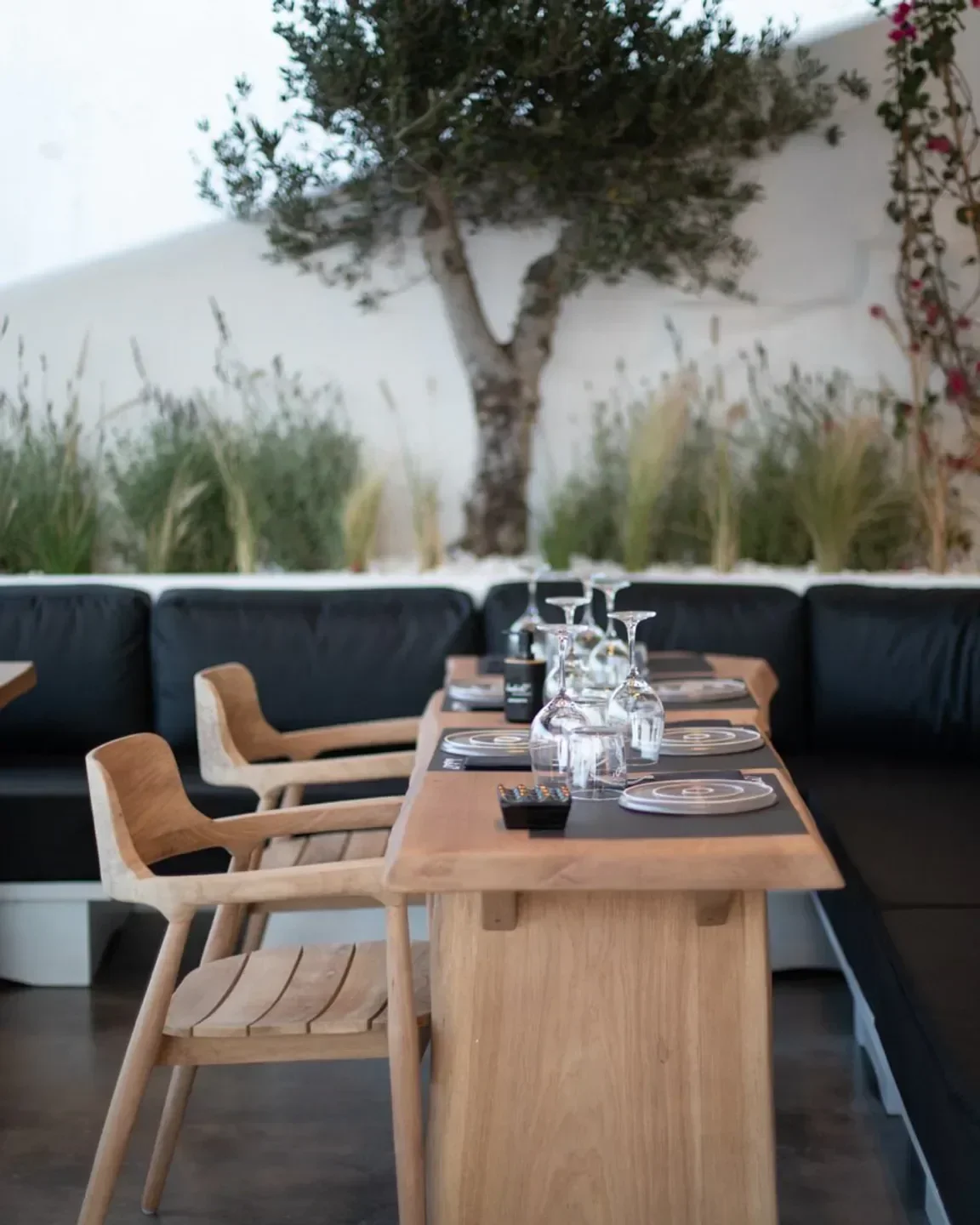 Dining setup at Jackie O' Beach Club in Mykonos, featuring wooden tables and olive tree.